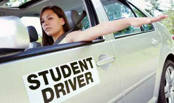 Student Driver-license Driver's Ed student driving license and car tips check up guide