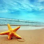 How to save money for student summer vacation