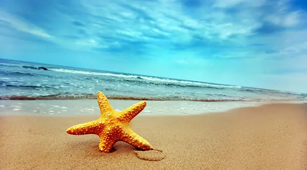 Students Summer Fun How to save money for student summer vacation