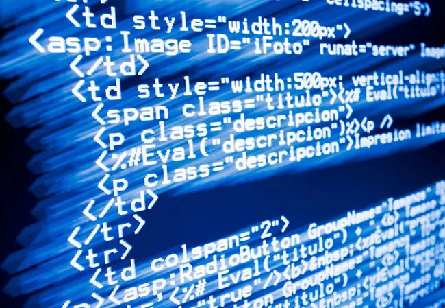 Importance of .Net Course for IT Professionals