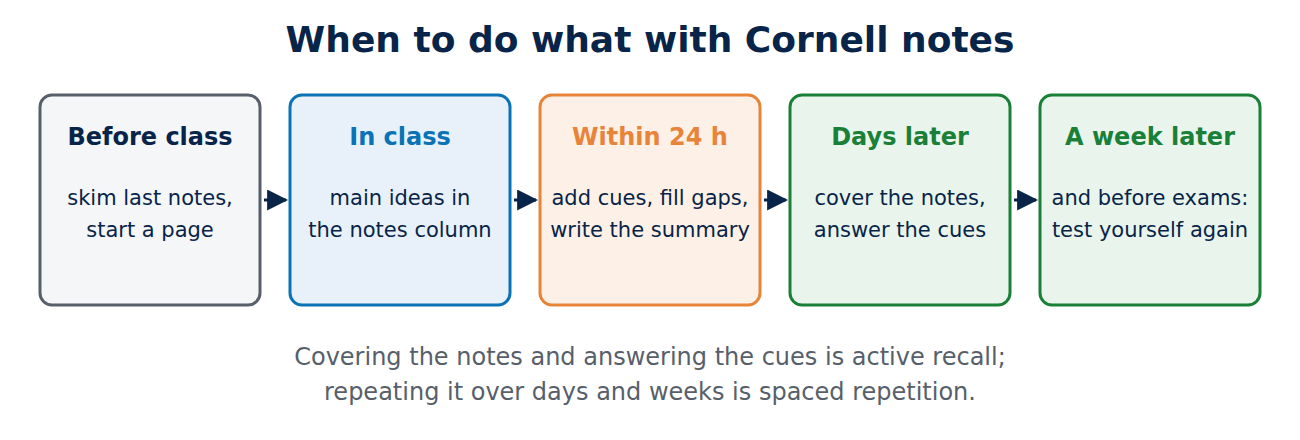 Timeline for Cornell notes: before class skim last notes, in class record main ideas, within 24 hours add cues and a summary, days later and a week later cover the notes and answer the cues.