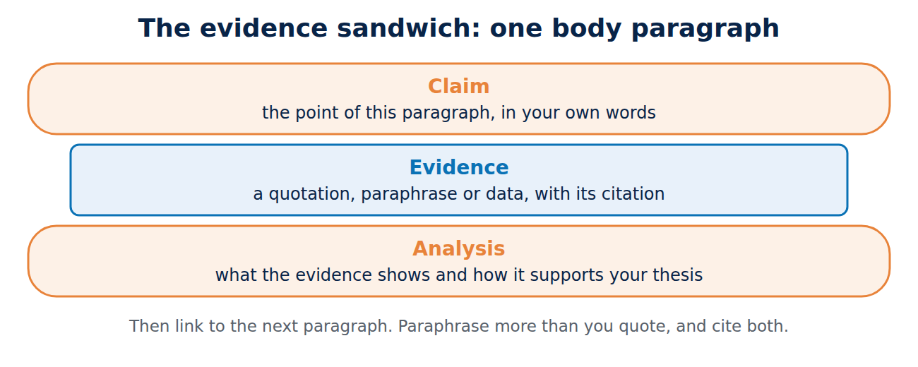 The evidence sandwich for a body paragraph: a claim, then evidence with a citation, then analysis of how it supports the thesis.